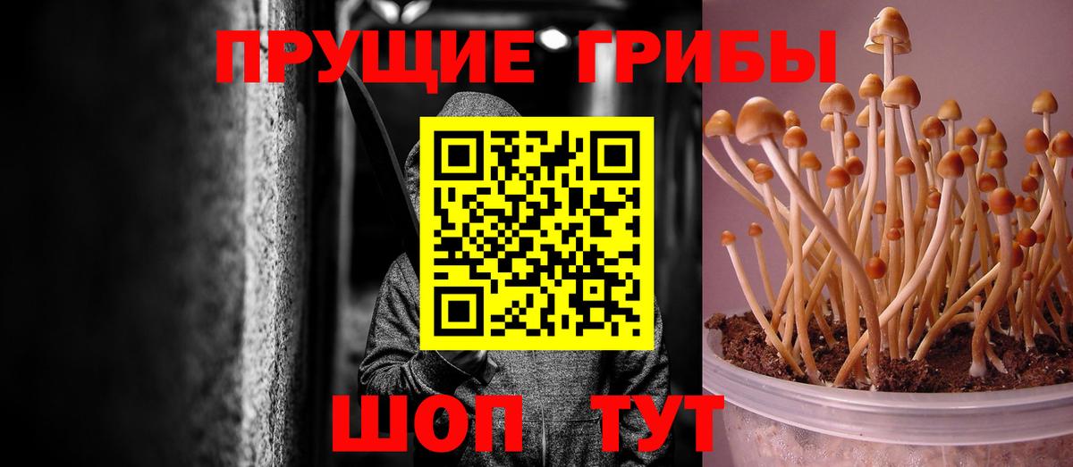 продажа наркотиков  Вход с VPN  Тобольск  Псилоцибиновые грибы MAGIC MUSHROOMS 